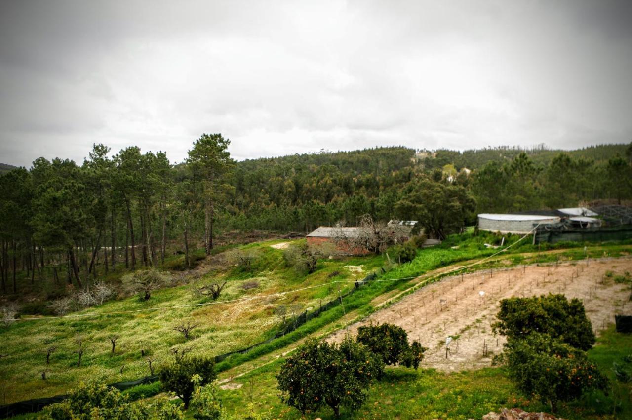 Quintinha Do Outeirinho Bed and Breakfast Soure Exteriör bild