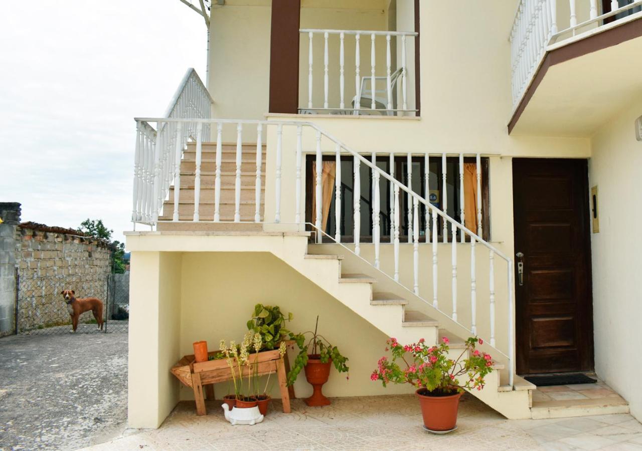 Quintinha Do Outeirinho Bed and Breakfast Soure Exteriör bild